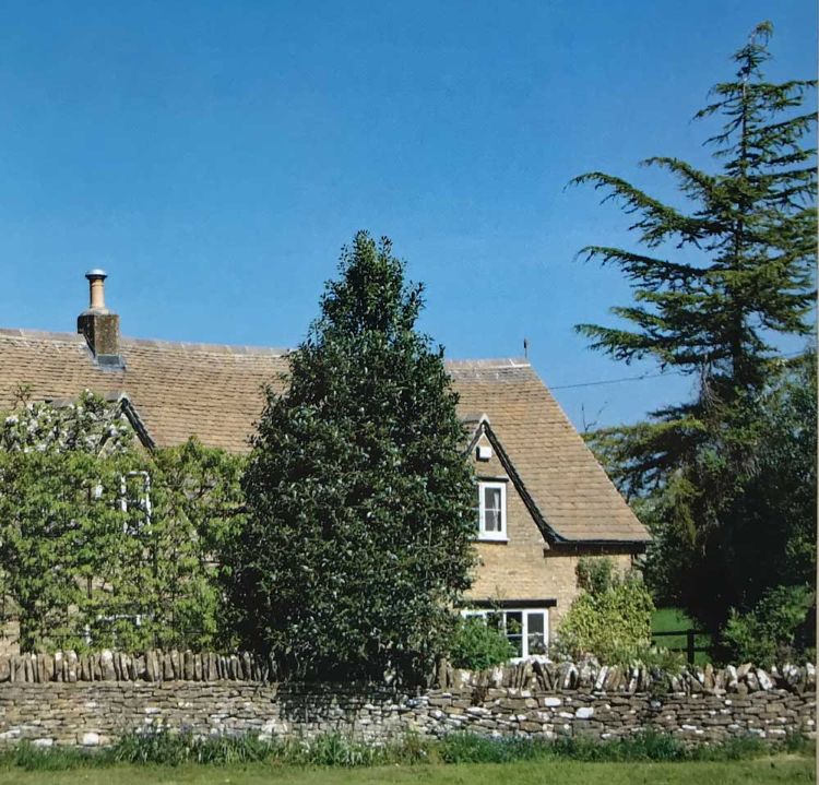 Yew Tree Barn